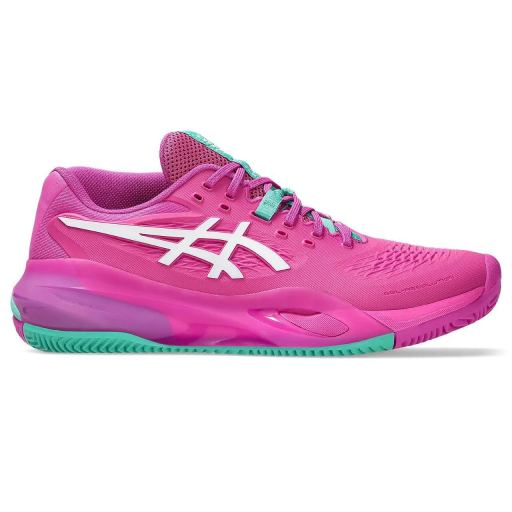 Pantofi tenis barbati ASICS GEL-RESOLUTION X CLAY