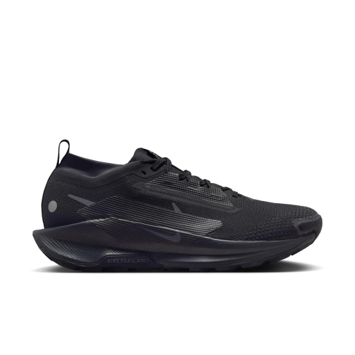 Pantofi trail barbati NIKE Pegasus Trail 5 Gore-Tex